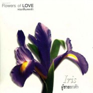 Flower-Of-Love-8