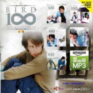 bird-100-6-10